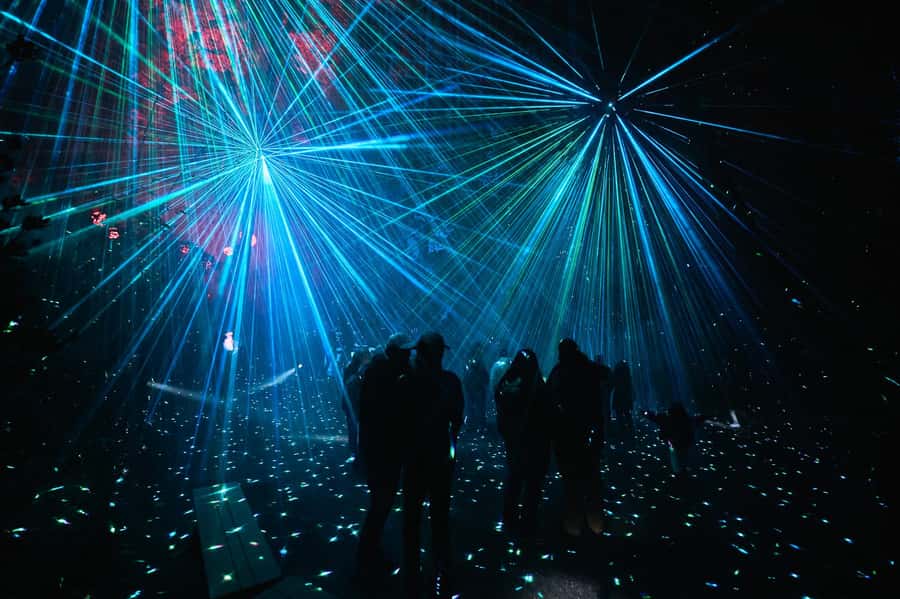 Astra Lumina Entry at Currumbin Wildlife Sanctuary - Following the 1.5km Celestial Trail