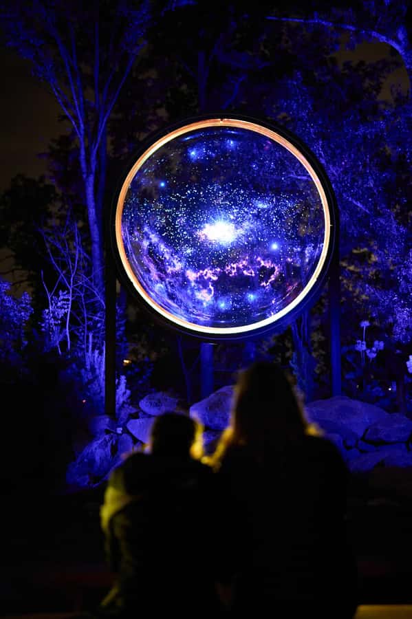 Astra Lumina Entry at Currumbin Wildlife Sanctuary - Who Will Enjoy This Most?