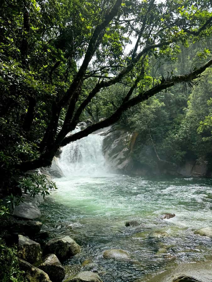 Atherton Tablelands: Lakes, Waterfalls, Rainforest Day Tour - Milla Milla Falls is the photo stop