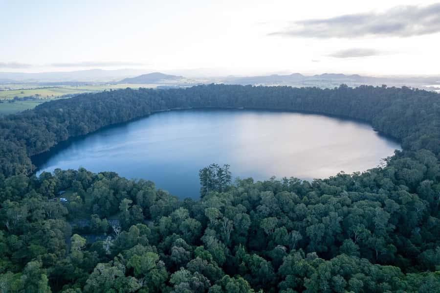 Atherton Tablelands: Lakes, Waterfalls, Rainforest Day Tour - Platypus spotting adds a wildlife bonus