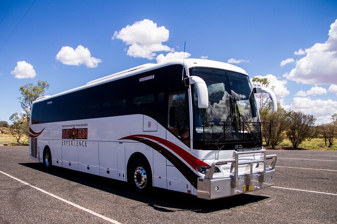 Ayers Rock Day Trip from Alice Springs Including BBQ Dinner - The dark ride back to Alice Springs
