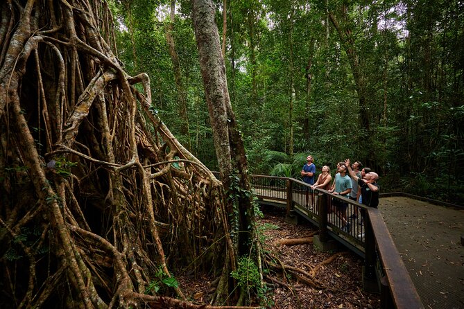 Barefoot Atherton Tablelands Adventure by Cairns Waterfalls - What the $121.21 price really covers