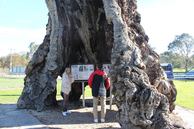 Barossa and Hahndorf Day Trip from Adelaide Including Wine Tasting and Lunch - From Adelaide at 9:15 a.m. to the Barossa Valley