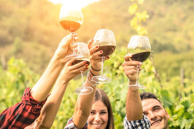 Barossa Valley Cellar Door Small Group Tour - The guides are a major part of the value