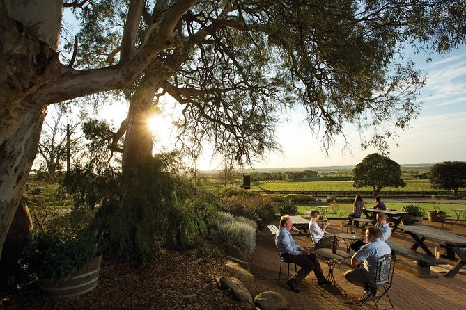 Barossa Valley Hop-On Hop-Off Wine Tour - The drawbacks you should take seriously