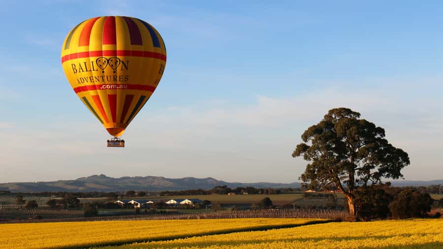 Barossa Valley: Hot Air Balloon Flight - Meeting in Nuriootpa before sunrise