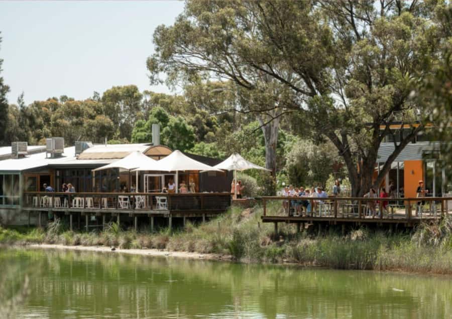Barossa Valley: Maggie Beer's FarmShop Experience - Maggie’s Orchard Gin and the Fun Part of the Tasting