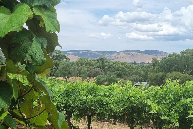 Barossa Valley Shared Tour with Wine Tasting and Lunch - Langmeil and the Barossa’s pioneering roots