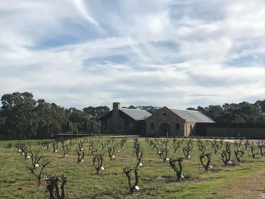 Barossa Valley: Small Group Wine Tour (Includes Lunch) - Key points to know before you book