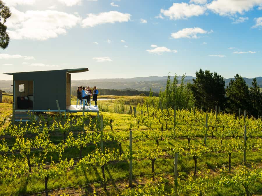Barossa Wine Tour: Small Group 8 max, Rare, Unique, Premium - Five things that shape the day
