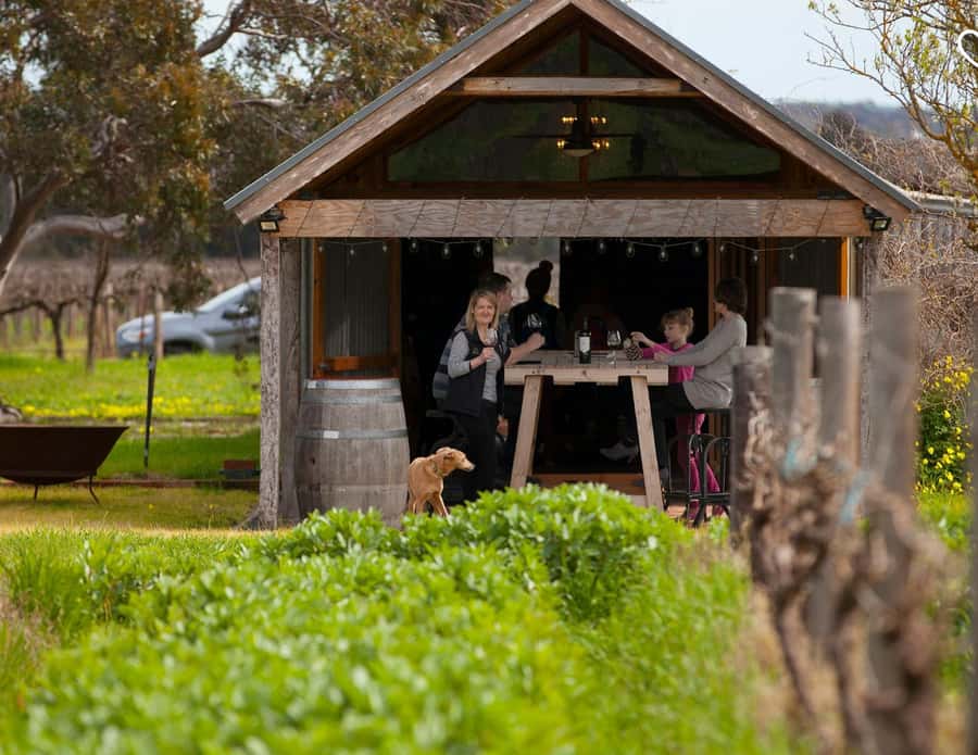 Barossa Wine Tour: Small Group 8 max, Rare, Unique, Premium - How the wine tastings work