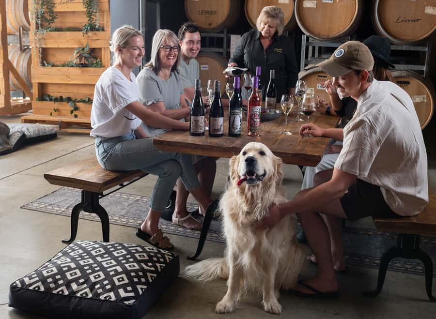 Barossa Wine Tour: Small Group 8 max, Rare, Unique, Premium - A local lunch at The Greenock