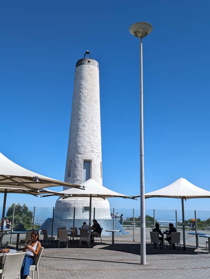 Best of Adelaide- City Highlights (Half-Day Tour) - Why this short Adelaide tour works