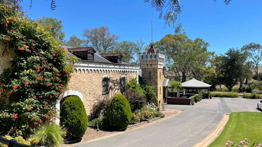 Best of Adelaide- City Highlights (Half-Day Tour) - Adelaide Oval and Plane Tree Drive