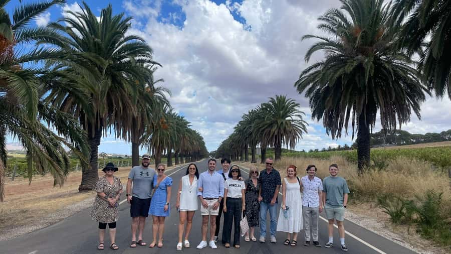 Best of Adelaide- City Highlights (Half-Day Tour) - Timing, comfort, and practical planning
