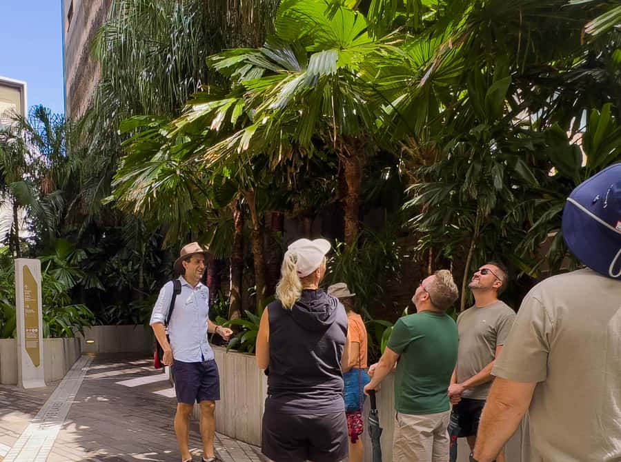 Best of Brisbane Walking Tour | Small Group & snack - Key points at a glance