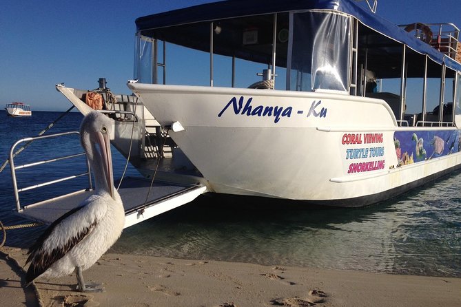 Best of Ningaloo Mantas and More - Who will enjoy this seven-hour outing most?
