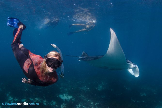 Best of Ningaloo Mantas and More - Weather, cancellations, and planning the day