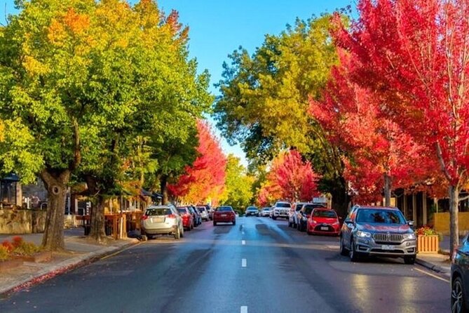 Best of SA, Hahndorf , Victor Harbor & d'arenberg 'Cube' Tour - The guides shape the day