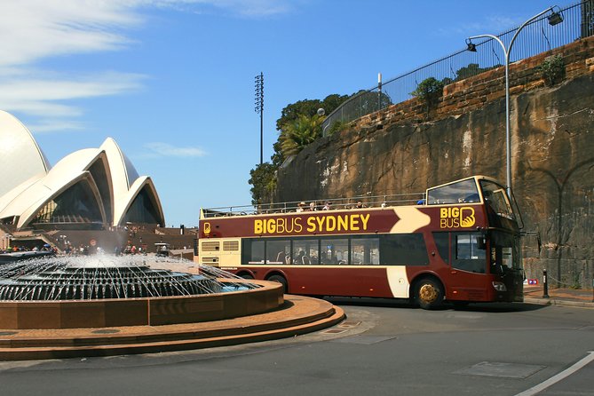 Big Bus Sydney and Bondi Hop-on Hop-off Tour - Should you book Big Bus Sydney and Bondi?