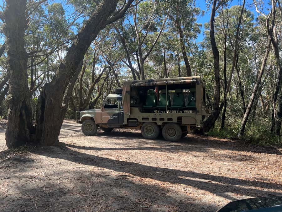 Blue Mountains 3 Hour Army Truck Adventures - Quick points before you book