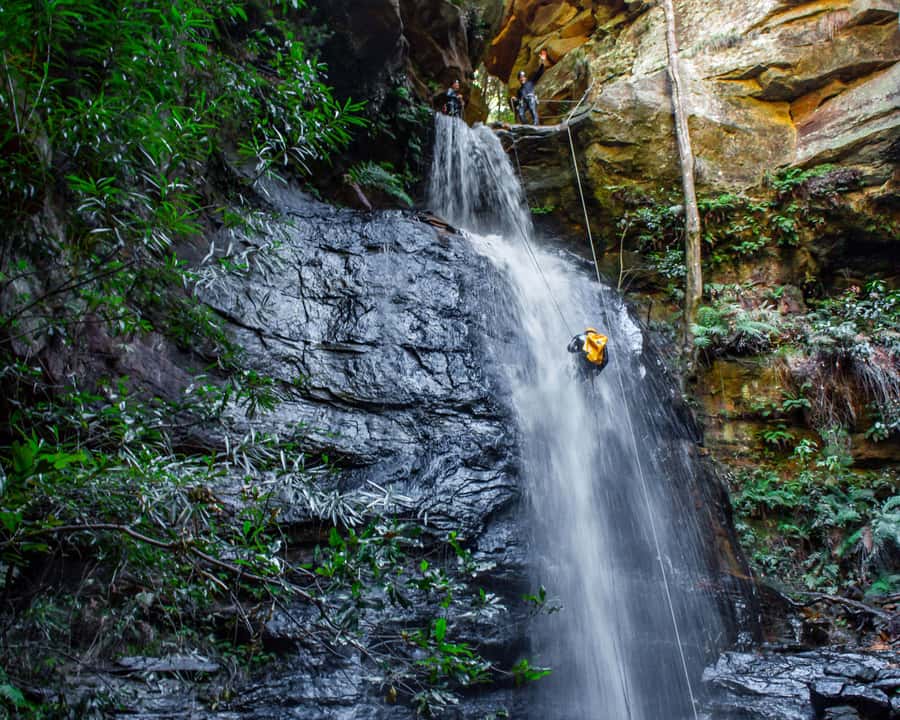 Blue Mountains: Abseiling and Canyoning Experience - Guides who make first-timers feel at ease