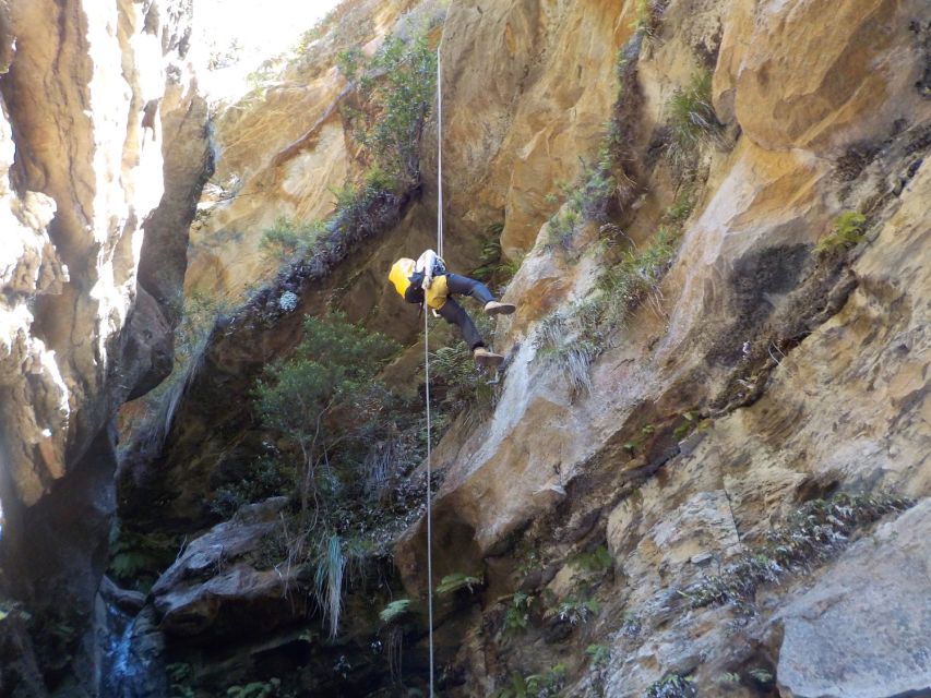 Blue Mountains: Abseiling and Canyoning Experience - What the $244 price includes
