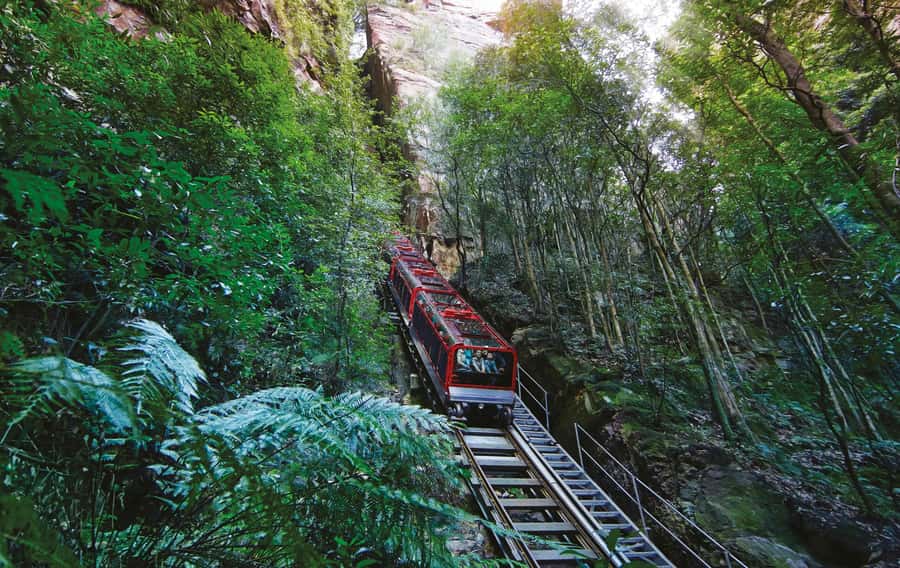 Blue Mountains Adventure: Scenic World, Zoo & Koala Photo - Key points at a glance