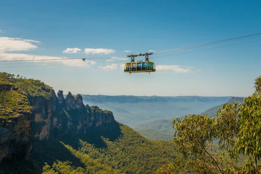 Blue Mountains Adventure: Scenic World, Zoo & Koala Photo - Why this Blue Mountains day trip works