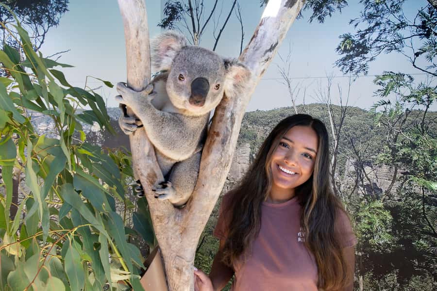 Blue Mountains Adventure: Scenic World, Zoo & Koala Photo - Cahill’s Lookout is the quieter viewpoint