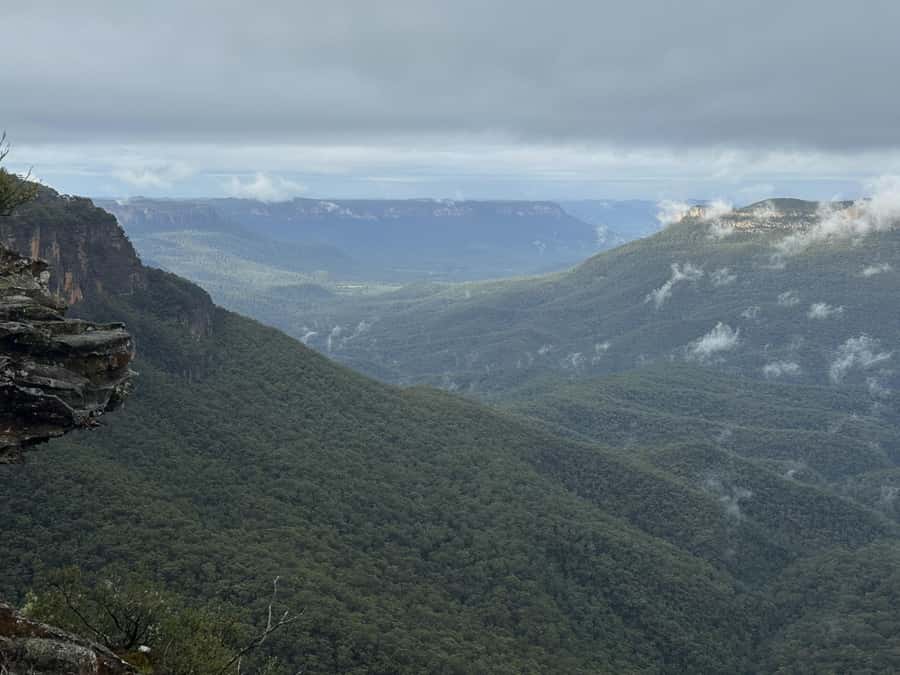 Blue Mountains Adventure: Scenic World, Zoo & Koala Photo - Sydney Zoo and the included koala photo