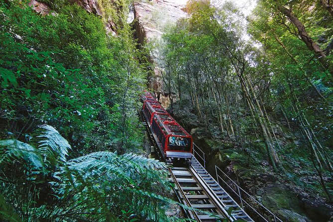 Blue Mountains Adventure w Scenic World, Zoo, Koala Photo & Ferry - Why This One-Day Route Works