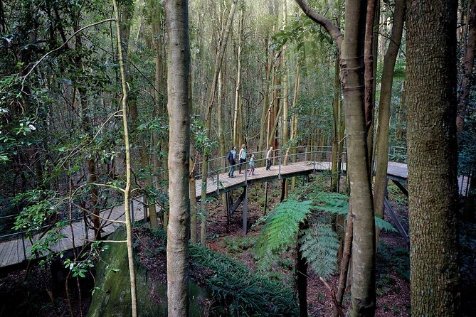 Blue Mountains Adventure w Scenic World, Zoo, Koala Photo & Ferry - Elysian Rock and Echo Point Show Two Sides of the Mountains