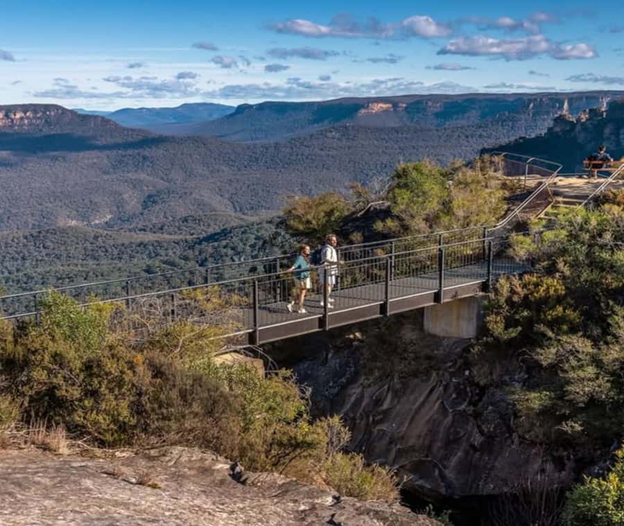 Blue Mountains Adventure: Wild Boar Rock & Cable Car - From Sydney streets to the Blue Mountains