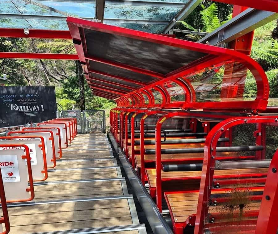 Blue Mountains Adventure: Wild Boar Rock & Cable Car - Above Jamison Valley in a glass cabin
