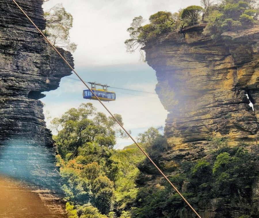 Blue Mountains Adventure: Wild Boar Rock & Cable Car - The long day, explained honestly