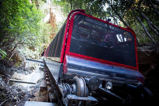 Blue Mountains Hop On Hop Off Tour - Walking, waterfalls, and bush tracks