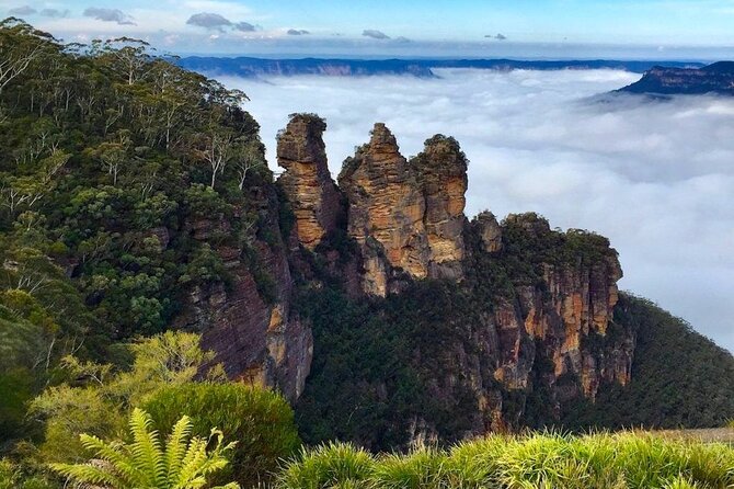 Blue Mountains Private Tour from Sydney - Key points to know before booking