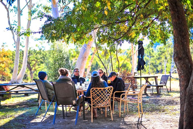 Blue Mountains Private Tour from Sydney - The Sydney return can include Olympic Park or a ferry