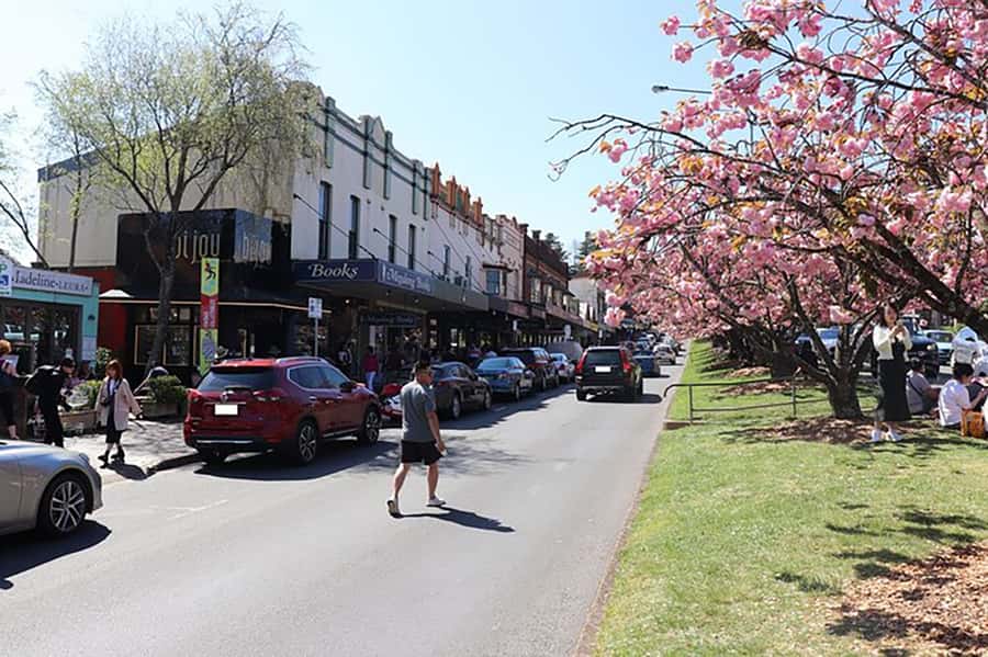 Blue Mountains: Private Tour with Wildlife and River Cruise - The Three Sisters: famous views and a meal break