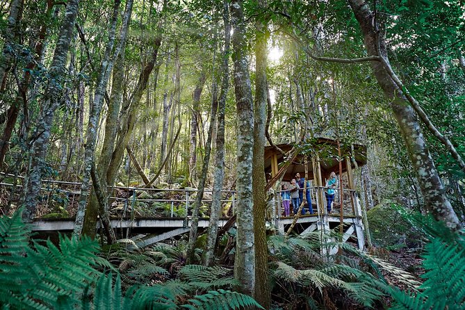 Blue Mountains Small-Group Tour from Sydney with Scenic World,Sydney Zoo & Ferry - Scenic World: Skyway, Cableway, Railway, and rainforest