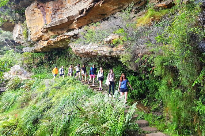Blue Mountains Small Group Tour with Waterfall Walk & Fresh Lunch - Lunch After the Climb