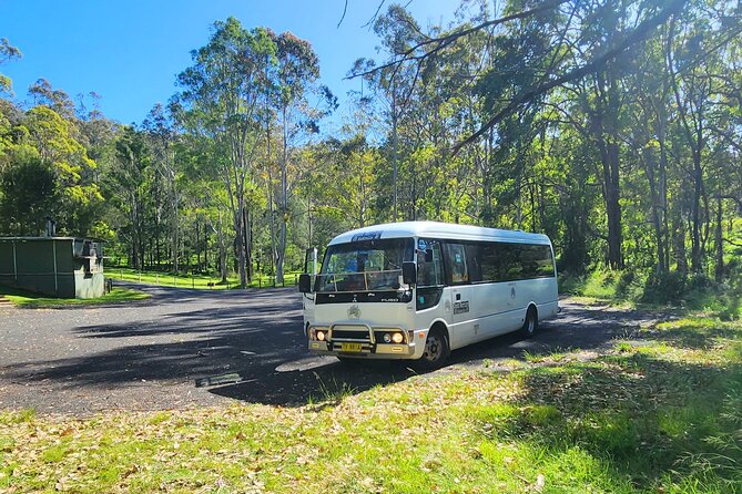 Blue Mountains Small Group Tour with Waterfall Walk & Fresh Lunch - Lookouts, Weather, and Flexible Routing