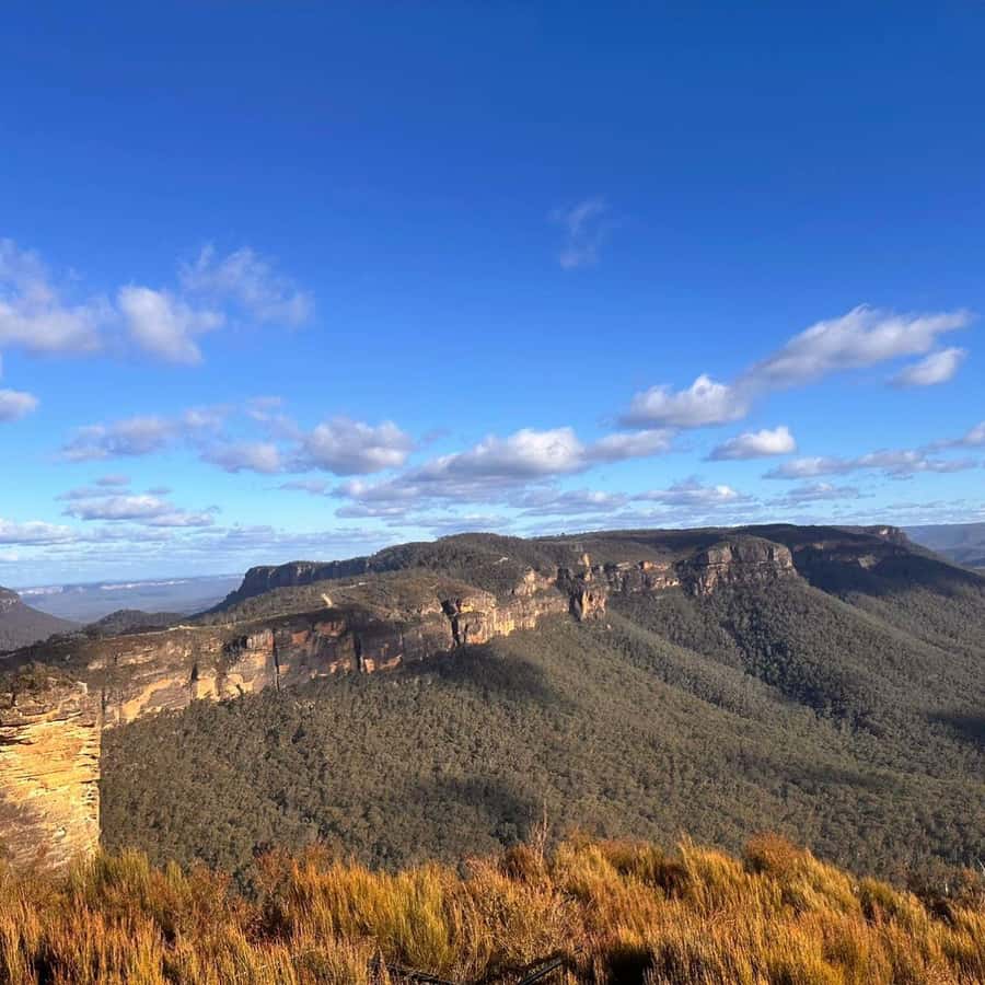 Blue Mountains Tour, Katoomba Falls & Cockatoos Small Group - Leura for 50 minutes of shops and sweets
