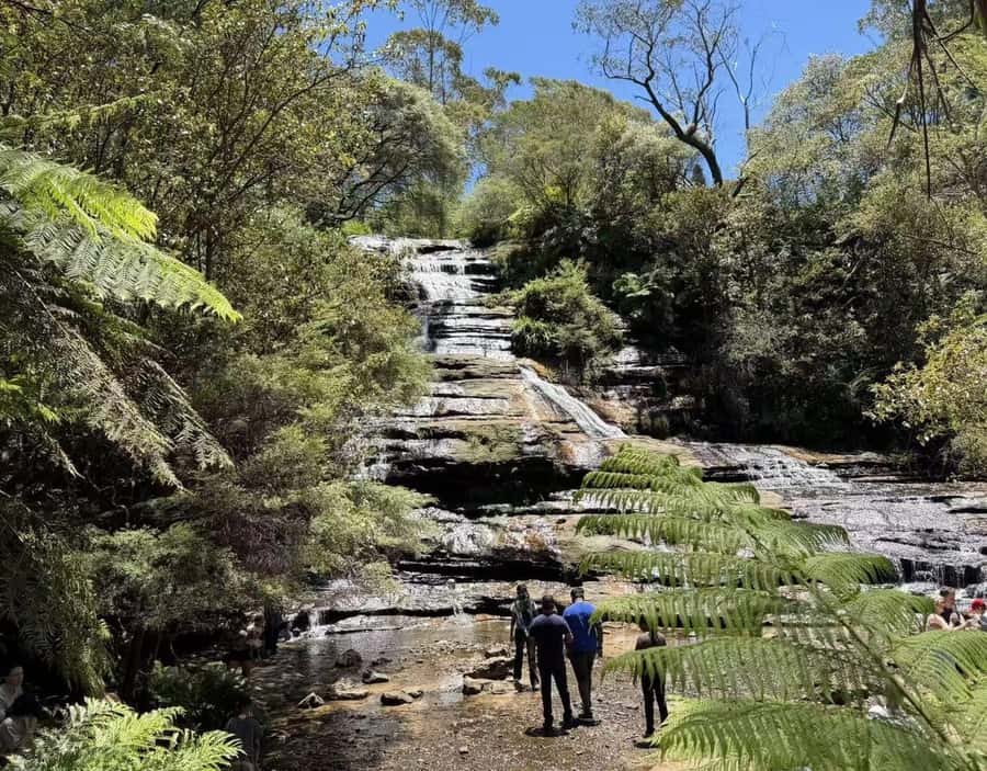 Blue Mountains Tour, Katoomba Falls & Cockatoos Small Group - Echo Point and the Three Sisters before the crowds
