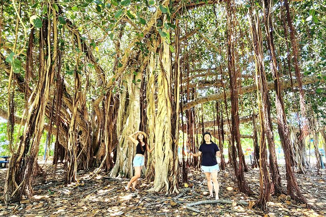 Bowen Beaches Discovery-Top of the Whitsundays - The Big Mango: a playful Australian icon