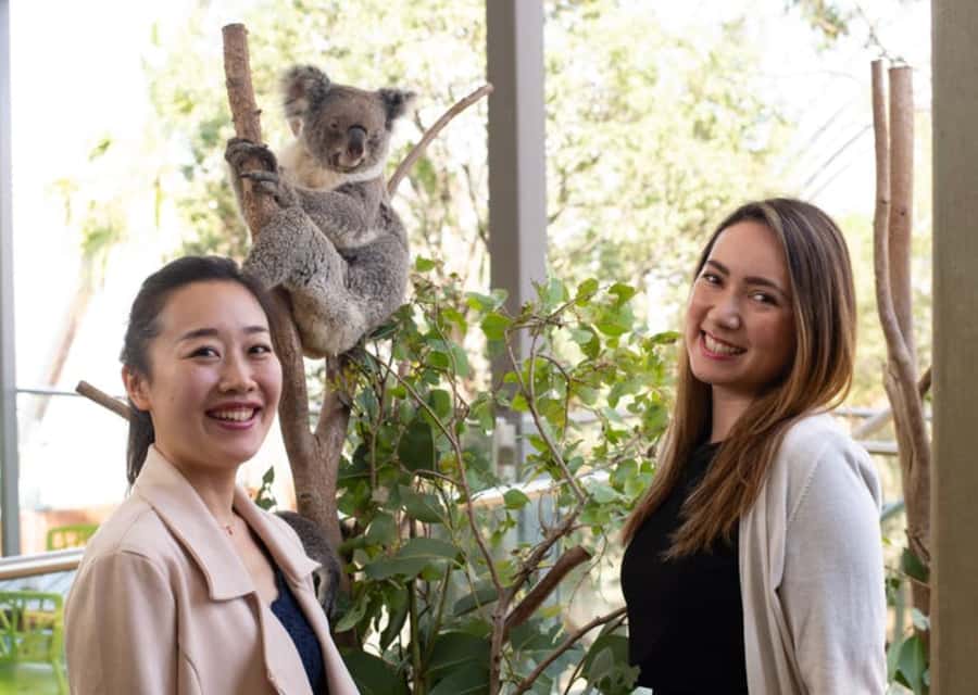 Breakfast with Koalas at WILD LIFE Zoo Darling Harbour - Why an early koala breakfast works