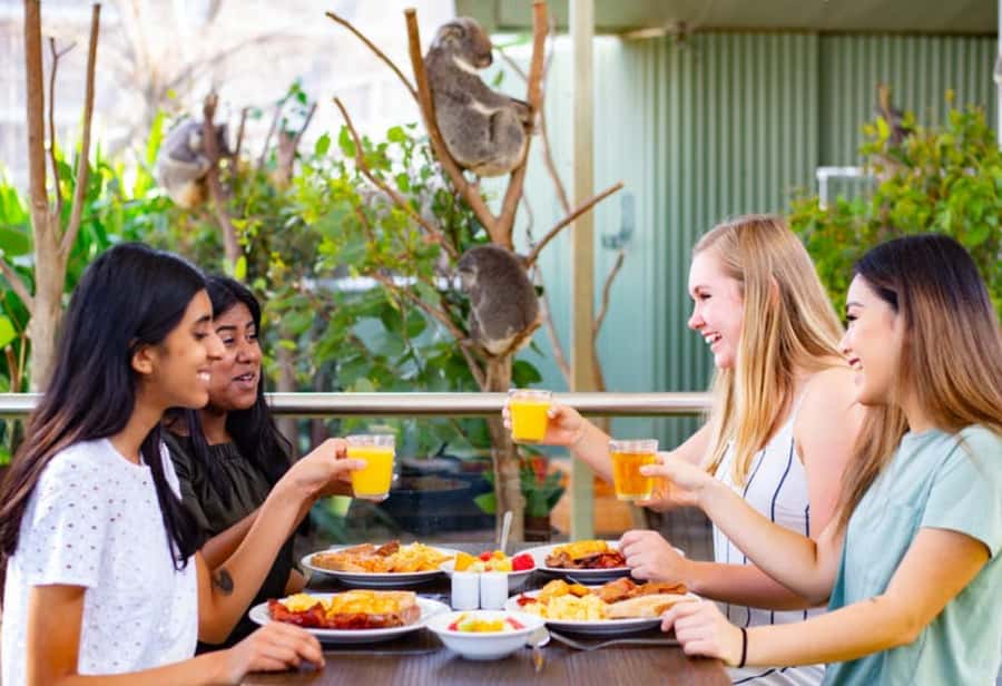 Breakfast with Koalas at WILD LIFE Zoo Darling Harbour - 7:30 to 8:30 a.m.: a keeper-led tour before opening