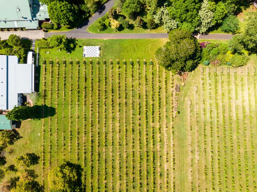 Brisbane: Boutique Winery Tour with Gourmet Lunch - Who will enjoy this most