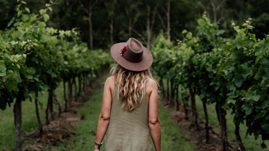 Brisbane: Boutique Winery Tour with Gourmet Lunch - The first winery: a gentle start